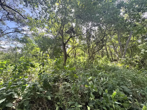 EN VENTA TERRENO EN QUINTA LOS ANGELES CARRETERA SUR KM 14