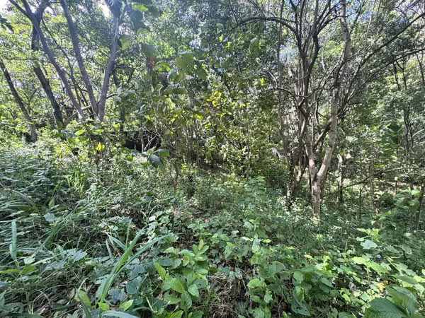 EN VENTA TERRENO EN QUINTA LOS ANGELES CARRETERA SUR KM 14