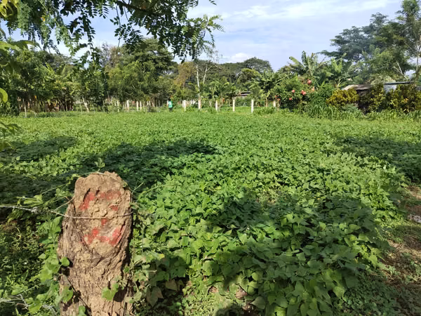 Gran oportunidad! vendo lote en Masatepe