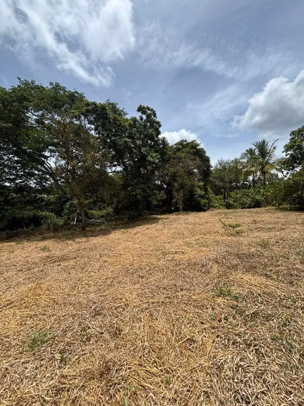 TICUANTEPE / U$140,000