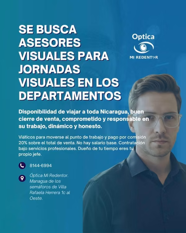 Asesor visual