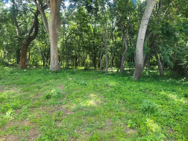 Lote en venta en el km 17 de la Carretera Vieja a León.