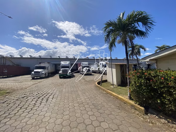 AG- Bodega de 10,000 m² en renta en Managua
