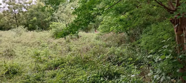 ZC- SE VENDE TERRENO EN VERACRUZ