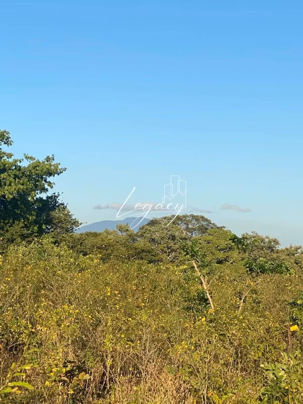 AG-Venta de finca productiva de 25.43 Mz – Santa Teresa, Carazo