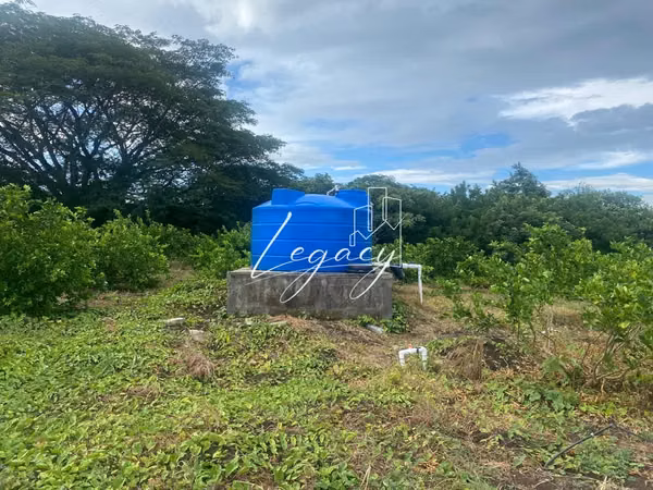 AG-Venta de finca productiva de 25.43 Mz – Santa Teresa, Carazo