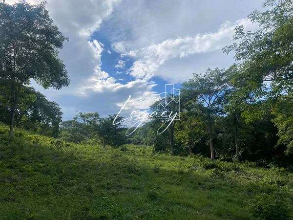 AG-Venta de finca productiva de 25.43 Mz – Santa Teresa, Carazo