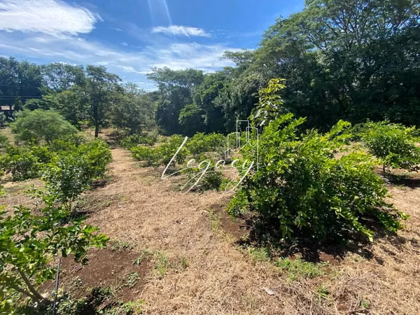 AG-Venta de finca productiva de 25.43 Mz – Santa Teresa, Carazo