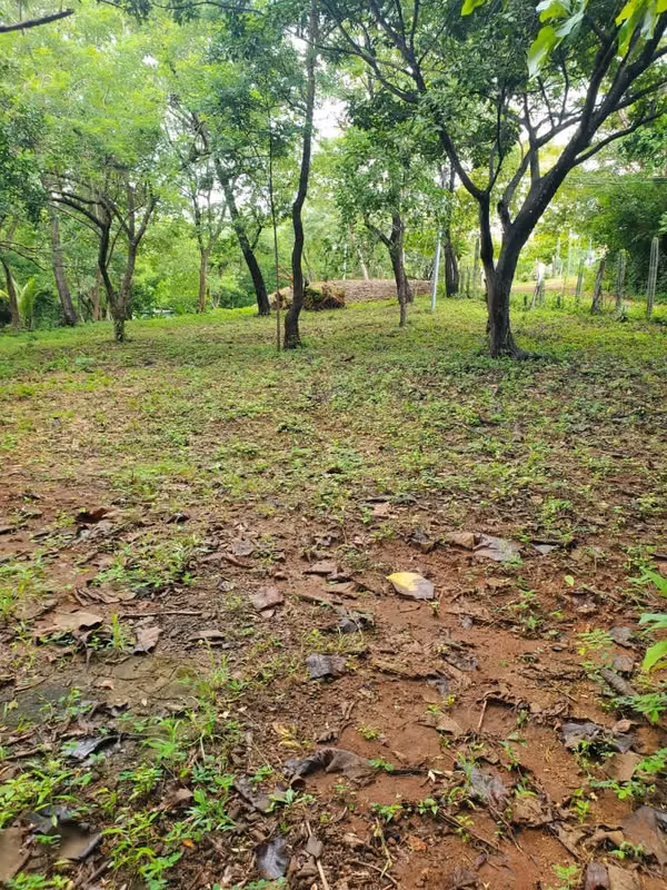Terrenos Vista Popoyo en el corazón de Costa Esmeralda, Popoyo, Tola, Rivas
