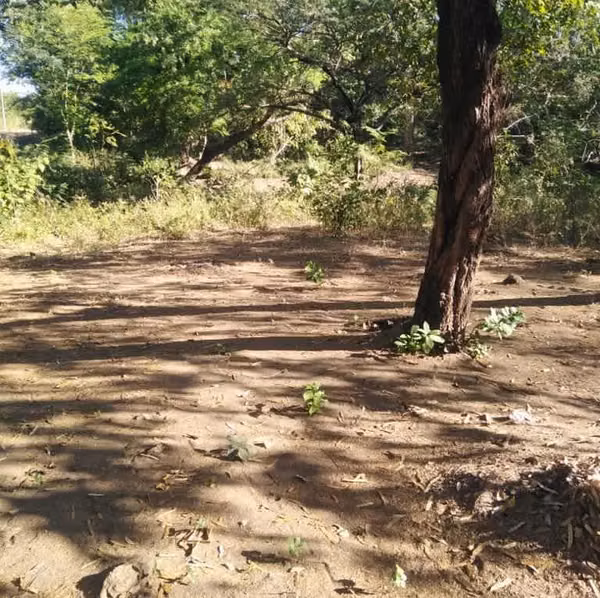 Beautiful Farm for Sale - Leon / Poneloya