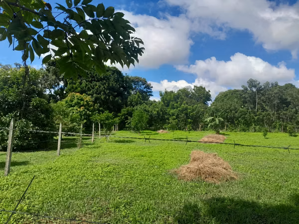 EN VENTA TERRENO EN NINDIRI