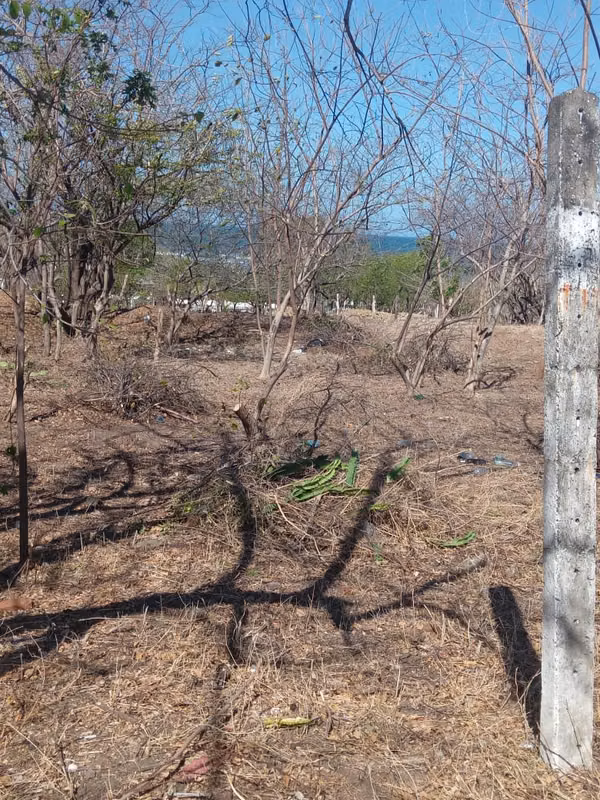 Corner Lot for Sale - Playa Hermosa, León