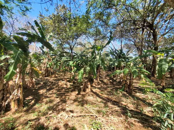 ¡Se vende! Finca en Guanacastillo, Masaya km 34