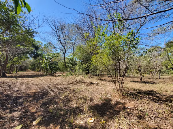 ¡Se vende! Finca en Guanacastillo, Masaya km 34