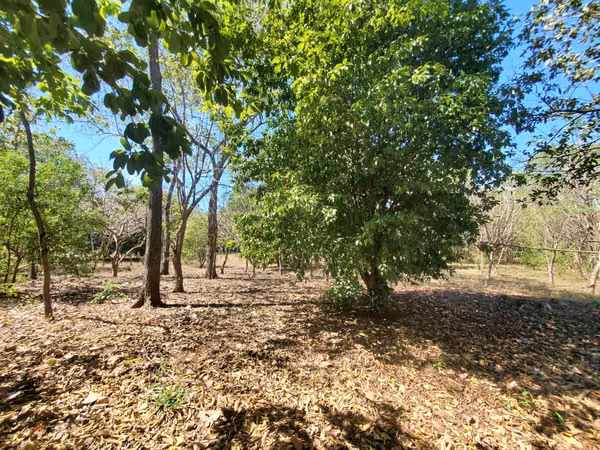 ¡Se vende! Finca en Guanacastillo, Masaya km 34