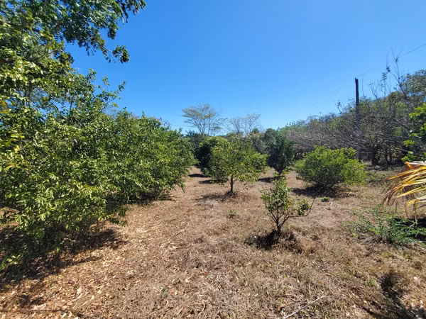 ¡Se vende! Finca en Guanacastillo, Masaya km 34