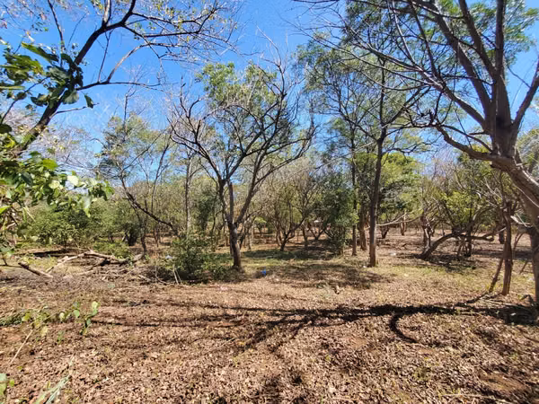 ¡Se vende! Finca en Guanacastillo, Masaya km 34