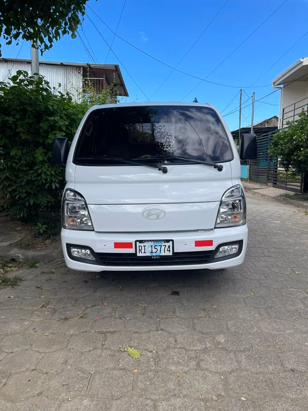 Camion H-100