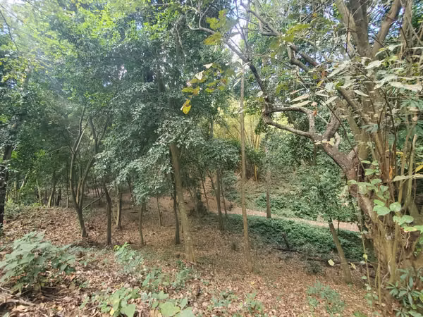 EB- ¡Se vende! finca en San Marcos km 44.5