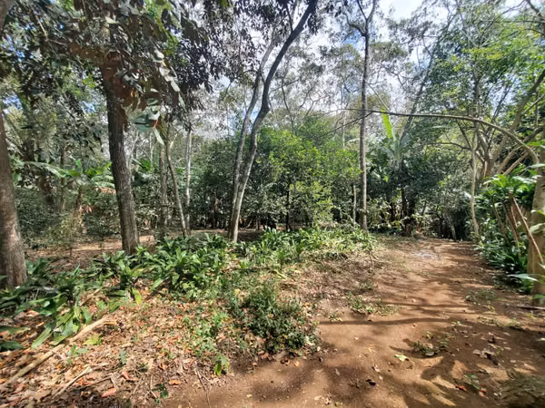 EB- ¡Se vende! finca en San Marcos km 44.5