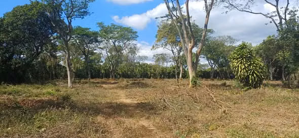 For sale beautiful land in San Marcos (Las esquinas- Carazo Nicaragua)