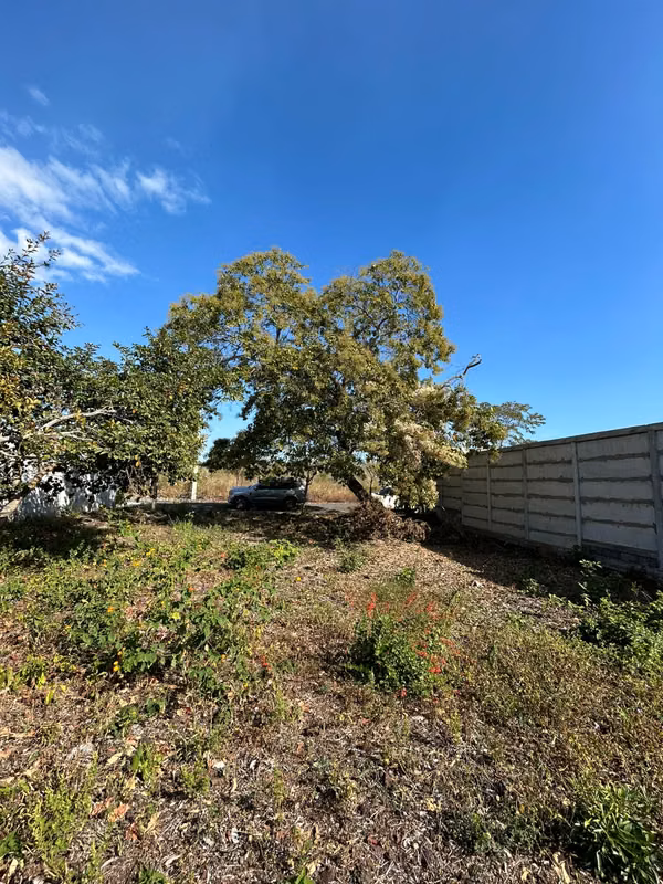 EJ-Selling land in Veracruz