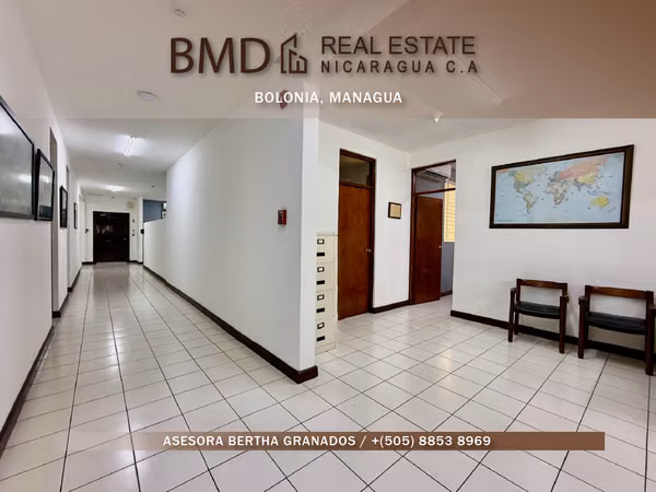 Functional offices with strategic distribution in Bologna BG