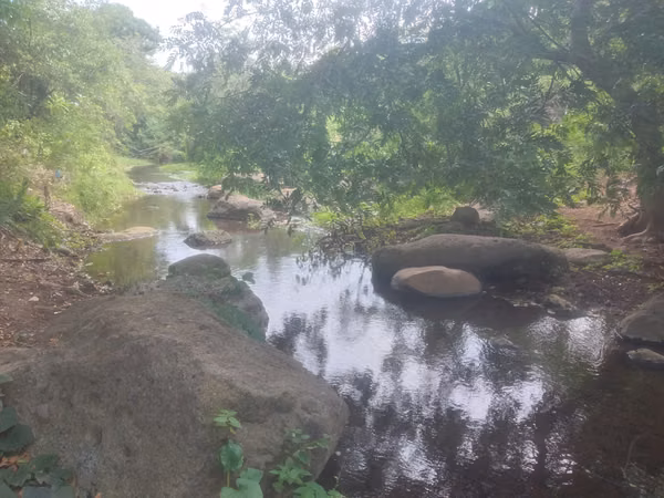 SE VENDE BONITA FINCA DE 17 MANZANAS.
