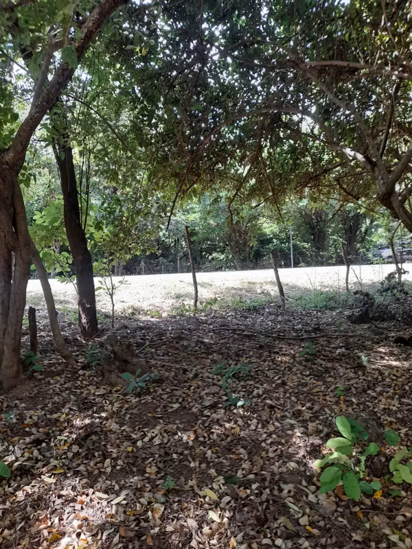 SE VENDE BONITA FINCA DE 17 MANZANAS.