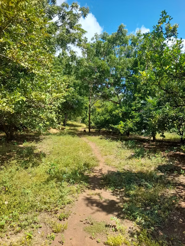 SE VENDE BONITA FINCA DE 17 MANZANAS.