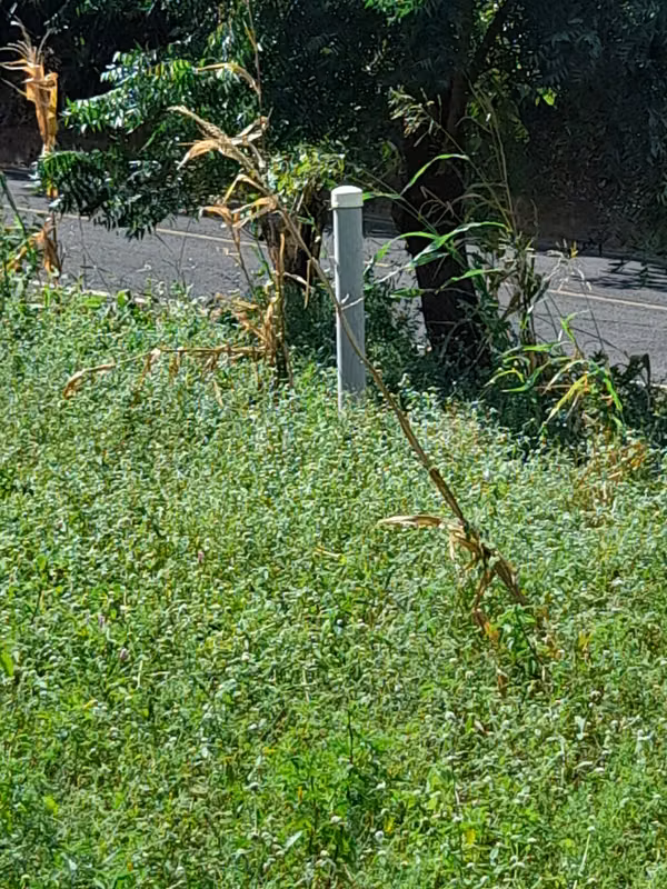 SE VENDE BONITA FINCA DE 17 MANZANAS.