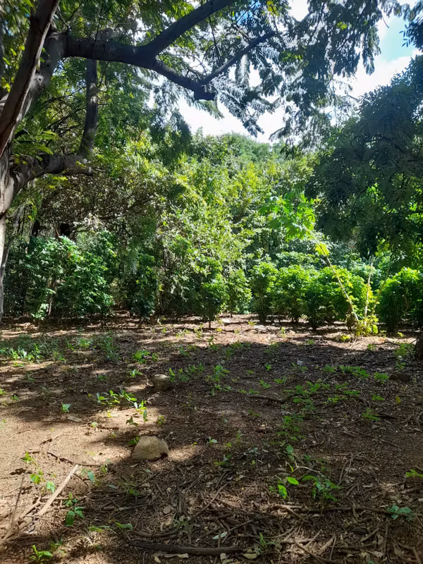 SE VENDE BONITA FINCA DE 17 MANZANAS.