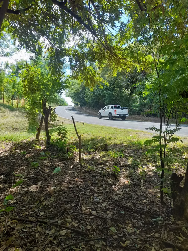 SE VENDE BONITA FINCA DE 17 MANZANAS.
