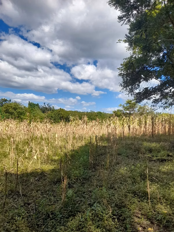 SE VENDE BONITA FINCA DE 17 MANZANAS.