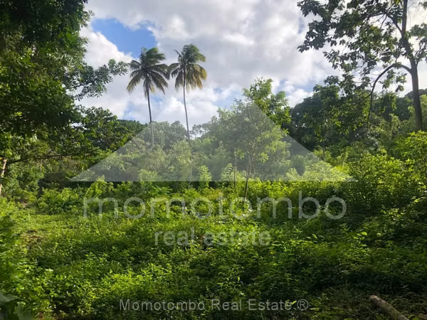 Farm for Sale Pochocuape, Managua