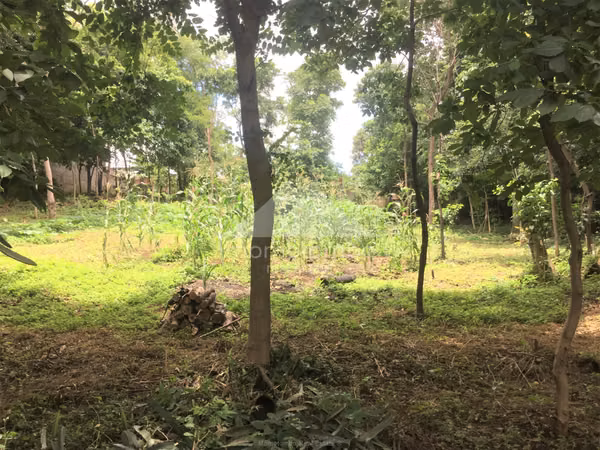 Land for Sale Loma Linda, Managua