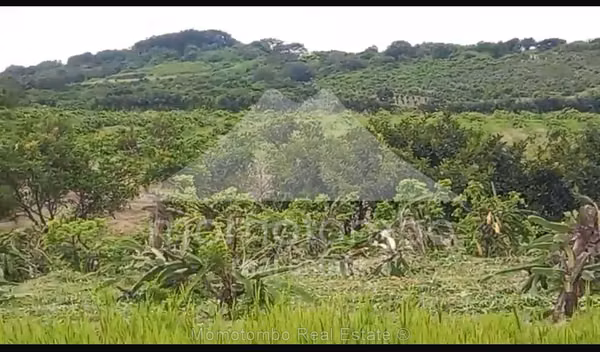 Property for Sale Carretera Sur, El Crucero