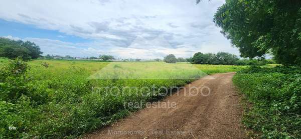 Land for Sale &amp; Rent Sabana Grande, Managua