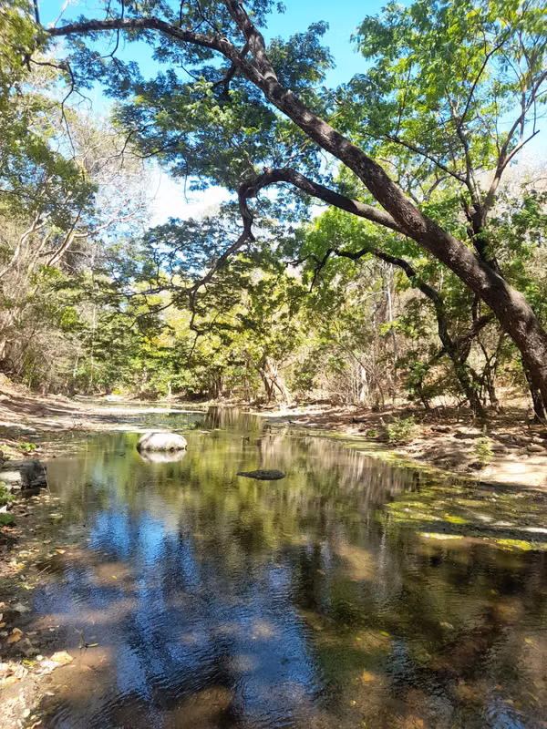 SE VENDE FINCA GANADERA DE 390 MANZANAS.