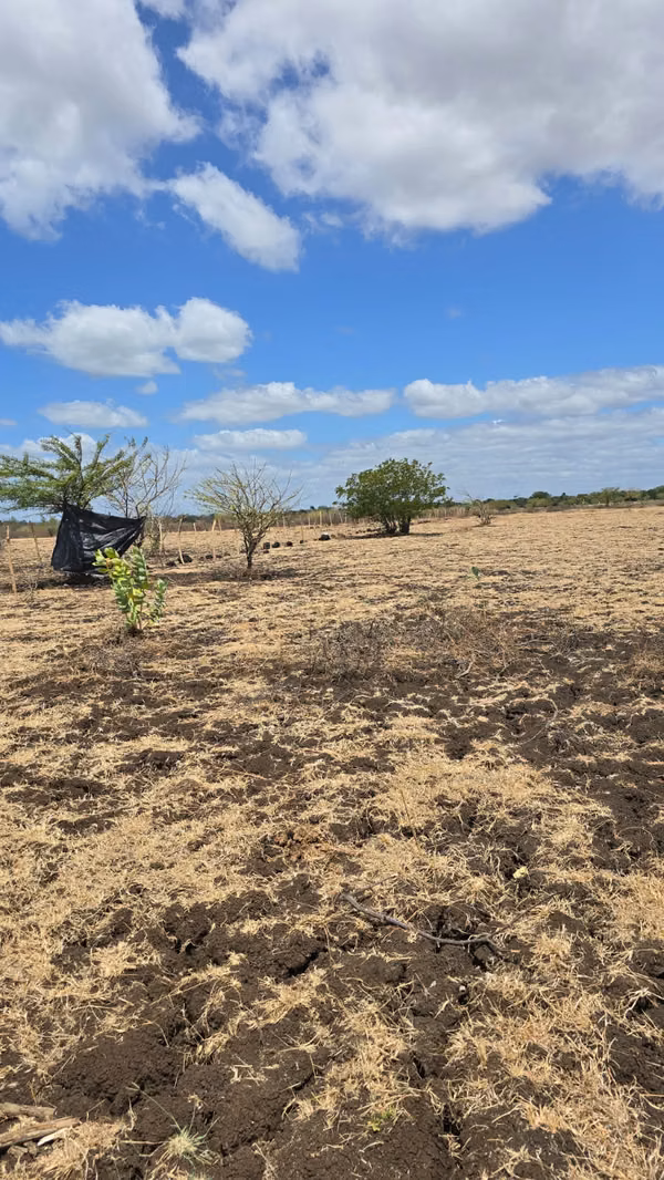 20 Manzanas planas en venta en Tipitapa, contiguo a Ciudadela San Martín, $20,000 por Manzana