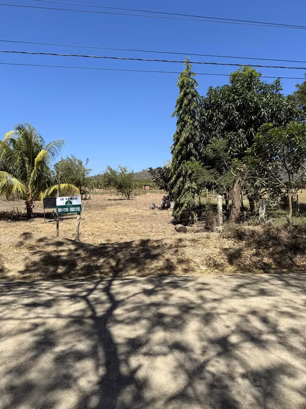 Land for Sale Tola