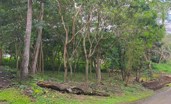 Land / Lot for sale in Santo Domingo