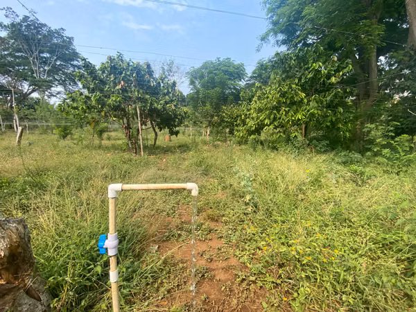 AG-Finca productiva de 8 Mz en Niquinohomo