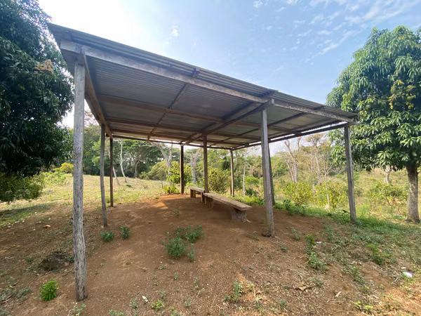 AG-Finca productiva de 8 Mz en Niquinohomo