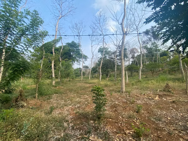 AG-Finca productiva de 8 Mz en Niquinohomo