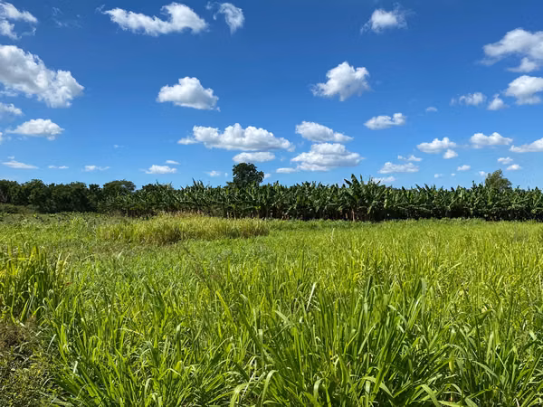 AG- Venta de Finca en Nindirí Precio Negociable o Cambio por casa en Managua