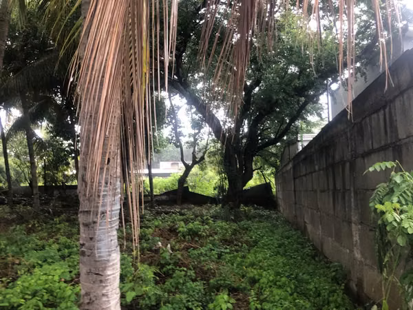 Land for sale in Las Colinas, 1102 V²
