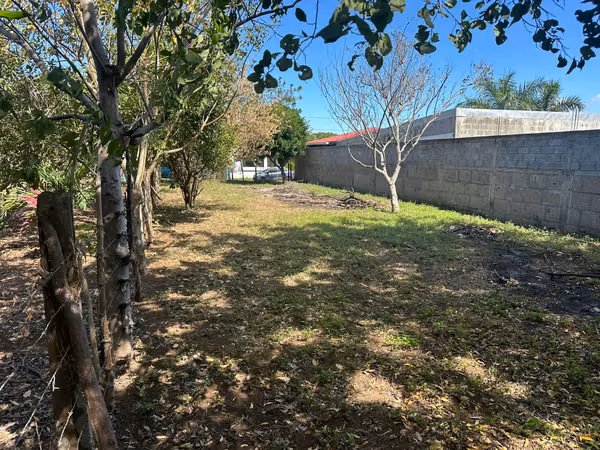 FOR SALE: Flat land near Veracruz!!