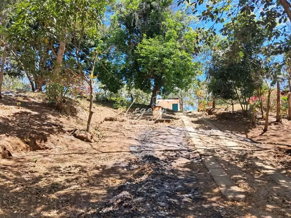 LLD-Venta de Finca Productiva en Niquinohomo!