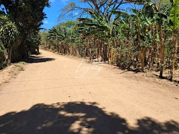 LLD-Finca Agrícola Disponible en Niquinohomo!